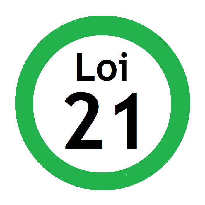 Set of 10 Lapel Pins "Loi 21"